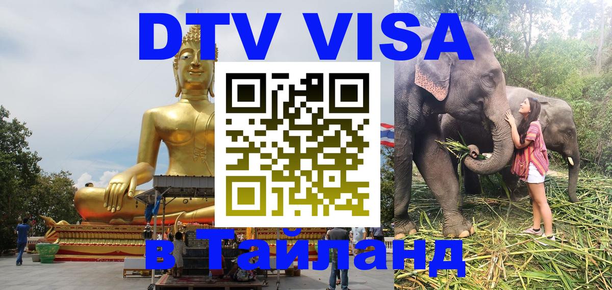 Сколько стоит DTV виза — актуальные цены, оформление даже без документов - Энгельс  05.10.2025 